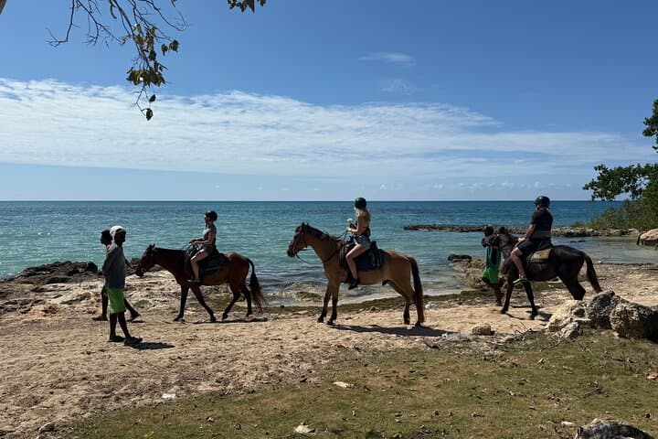 Negril Combo: Horseback Beach Ride and Sunset Catamaran to Rick’s Cafe photo 6