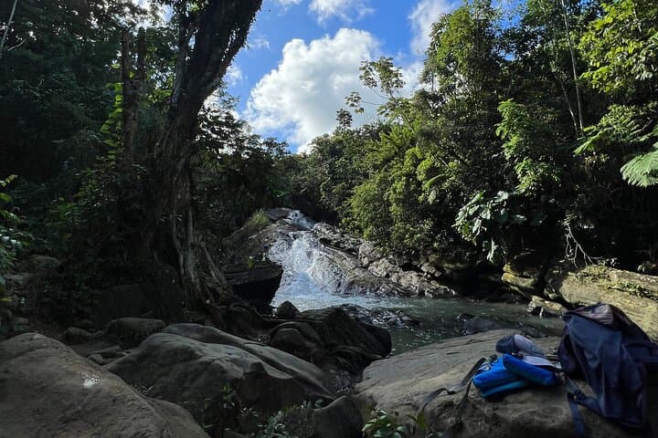 El Yunque Rainforest and Luquillo Beach Private Tour — Hike Waterfalls & Kiosks photo 3