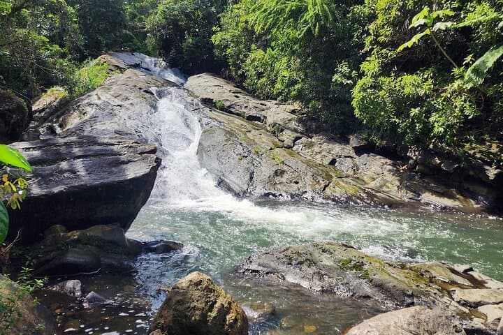El Yunque Rainforest and Luquillo Beach Private Tour — Hike Waterfalls & Kiosks