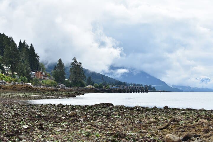 Wrangell E-Bike and Hike to Rainbow Falls: Rainforest Ride and Waterfall Hike photo 3