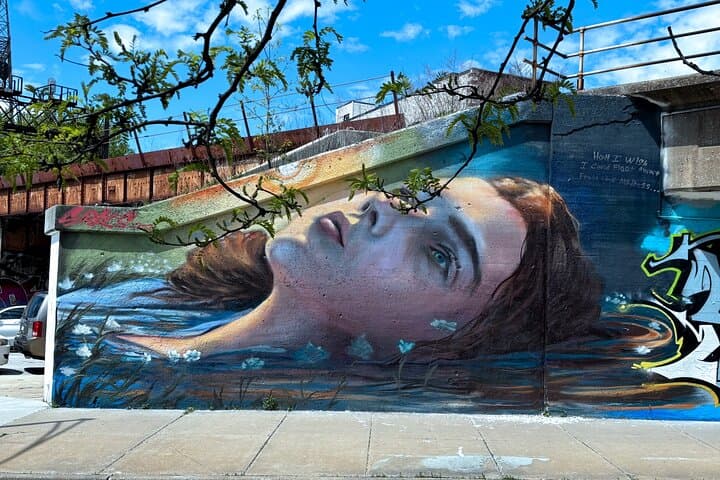 Offbeat Fulton Market Street Art Tour: Chicago Graffiti & Murals Walk photo 1