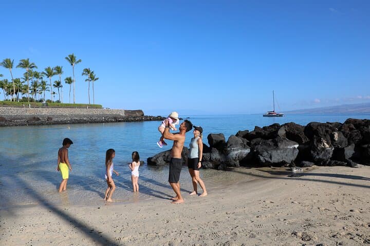 Explore Hawaii’s Big Island in a Day: Volcanoes, Waterfalls, and Black Sand Beaches photo 6