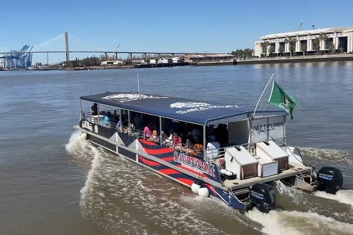 Sunset Dolphin Eco Tour: Savannah River Cruise for Dolphin Watching & Local History photo 2
