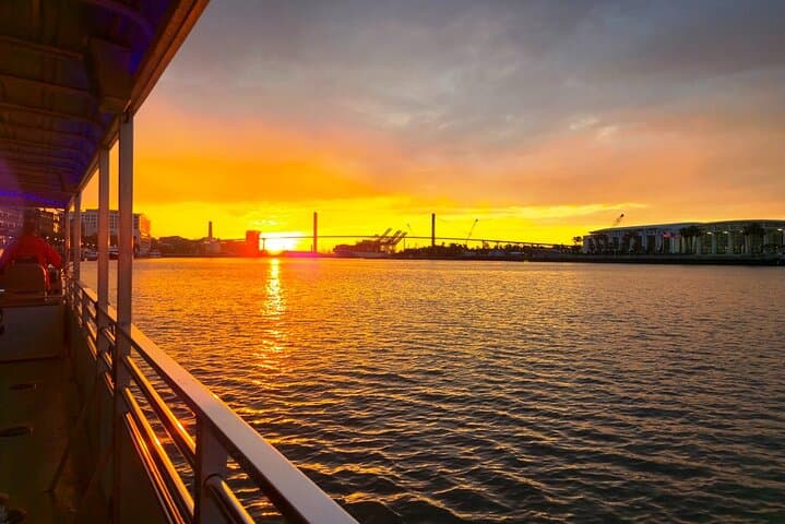 Sunset Dolphin Eco Tour: Savannah River Cruise for Dolphin Watching & Local History