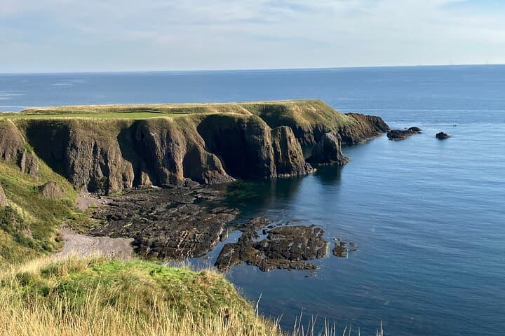 Dunnottar Puffins and Arbikie Distillery: Coastal Wildlife and Gin Tasting Day Trip photo 3