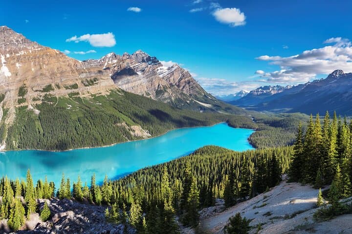 Luxury Private Tour of Moraine Lake, Lake Louise, Peyto & Icefields Parkway photo 4