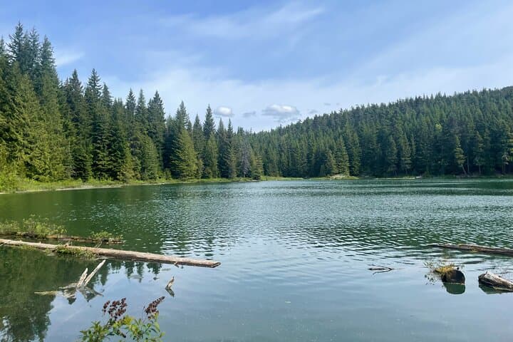 Whistler Nature Walk: Family-Friendly Valley Trail & Lost Lake Guided Tour photo 2