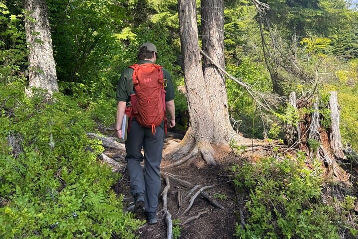 Whistler Nature Walk: Family-Friendly Valley Trail & Lost Lake Guided Tour photo 5