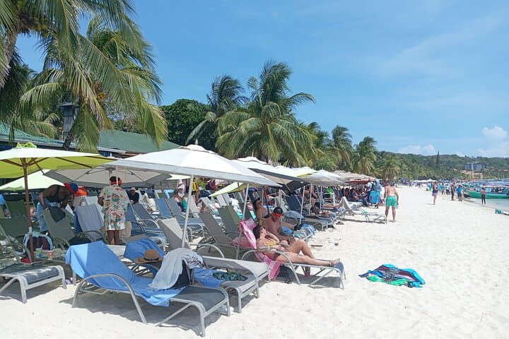 Roatán Monkey & Sloth Sanctuary Tour with Chocolate, Rum Tasting and West Bay Beach