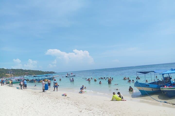 Private Roatan West Bay: Snorkel Reefs, Chocolate & Rum Tasting photo 2