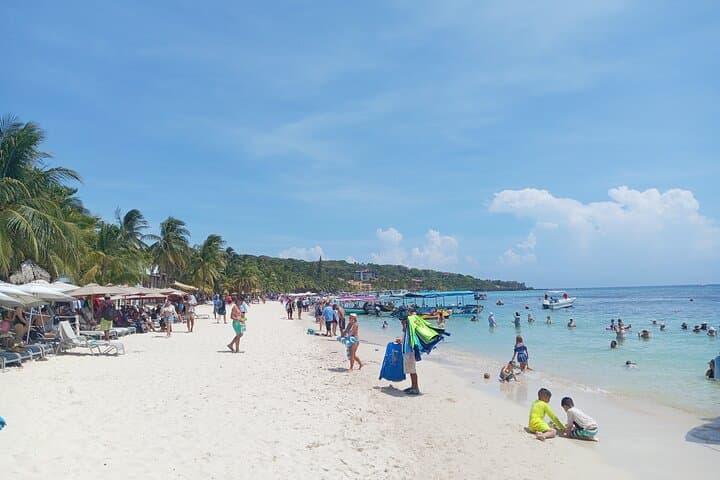 Private Roatan West Bay: Snorkel Reefs, Chocolate & Rum Tasting photo 3