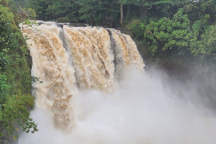 Big Island Volcano & Hilo Highlights Day Tour — Waterfalls, Black Sand Beaches and Lava Tubes photo 5