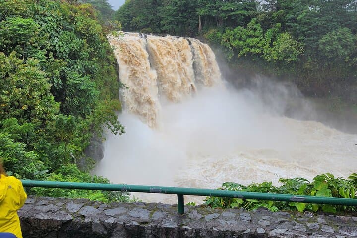 Big Island Volcano & Hilo Highlights Day Tour — Waterfalls, Black Sand Beaches and Lava Tubes photo 6