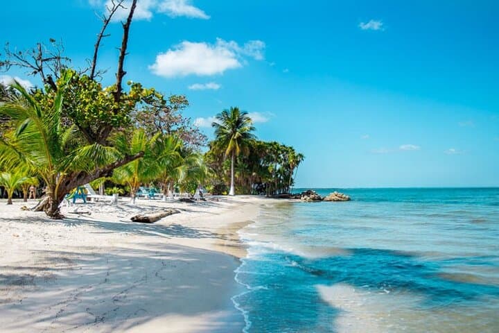 Caribbean & Tikal: 5-Day Private Guatemala and Belize Adventure from Antigua