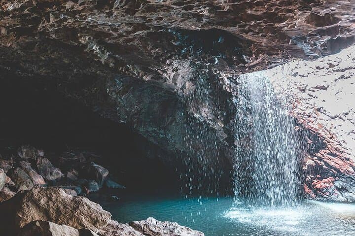 Springbrook & Tamborine Rainforest Day Tour — Natural Bridge, Glow Worms & Curtis Falls photo 5