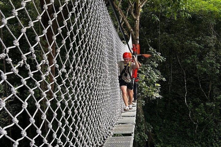 Chiang Mai Zipline and Sticky Waterfall Adventure — Zip, Climb & Jungle Lunch photo 3