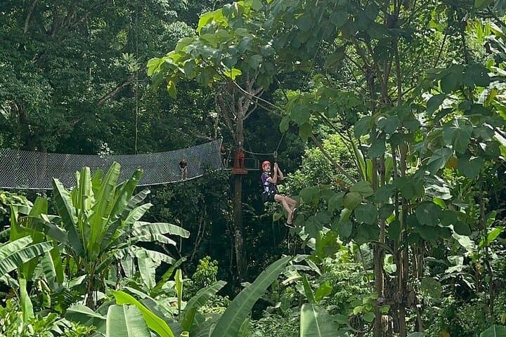 Chiang Mai Zipline and Sticky Waterfall Adventure — Zip, Climb & Jungle Lunch photo 4