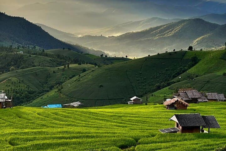 Pa Pong Piang Rice Terraces & Doi Inthanon Day Trip from Chiang Mai