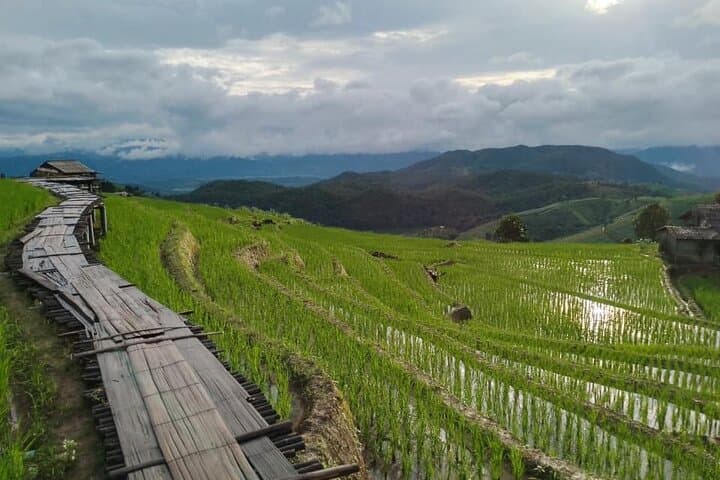 Pa Pong Piang Rice Terraces & Doi Inthanon Day Trip from Chiang Mai photo 4
