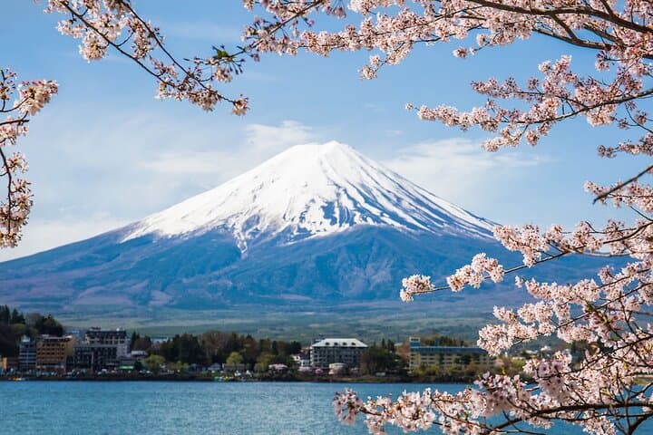 Private Mount Fuji Day Tour from Tokyo — Chureito Pagoda, Kawaguchi & Oshino Hakkai
