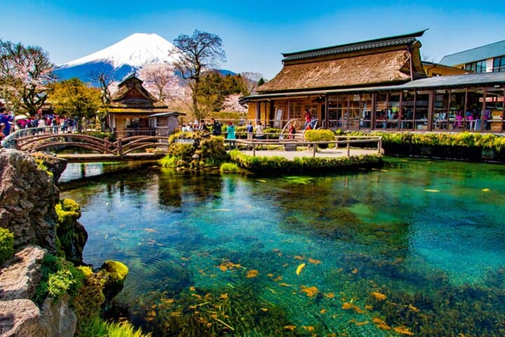 Private Mount Fuji Day Tour from Tokyo — Chureito Pagoda, Kawaguchi & Oshino Hakkai photo 2