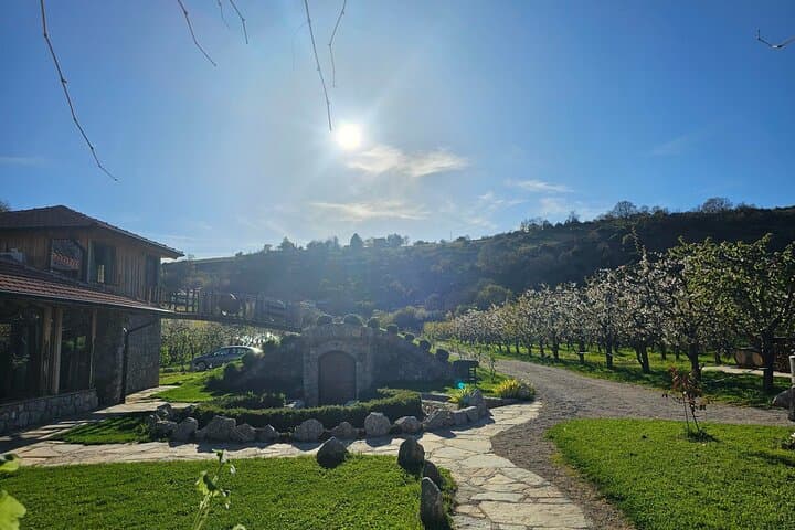 Rakija in Ohrid Valley: Distillery Balakija Guided Tour & Tasting