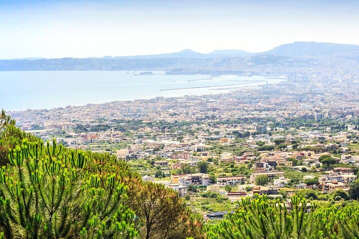 Hike Vesuvius and Explore Pompeii: Day Trip from Naples photo 6