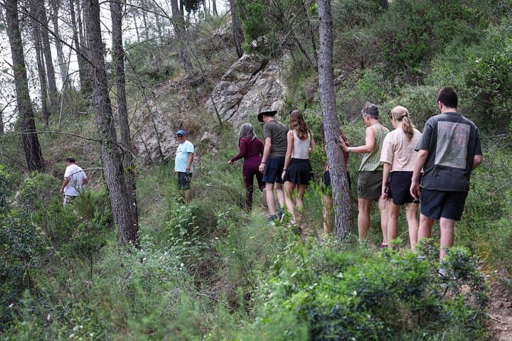 Montanejos & San José Cave Day Trip — Hot Springs, Short Hike & Underground River photo 3