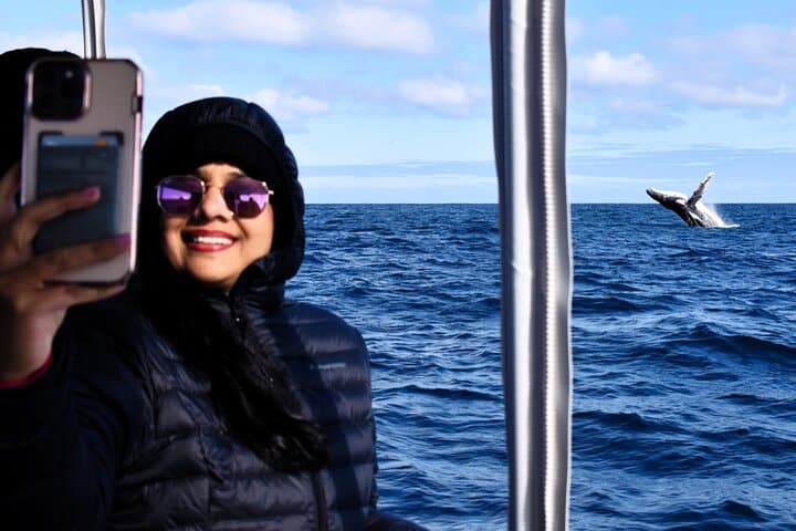 Augusta Whale Watching: Humpback & Southern Right Whale Cruises (May–Aug) photo 2