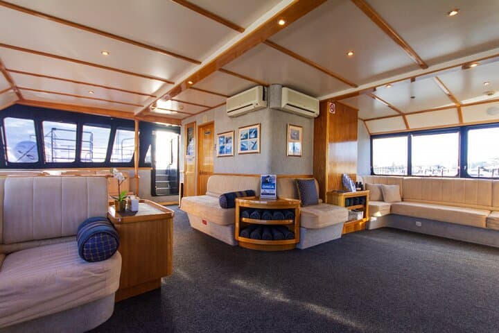 Augusta Whale Watching: Humpback & Southern Right Whale Cruises (May–Aug) photo 5