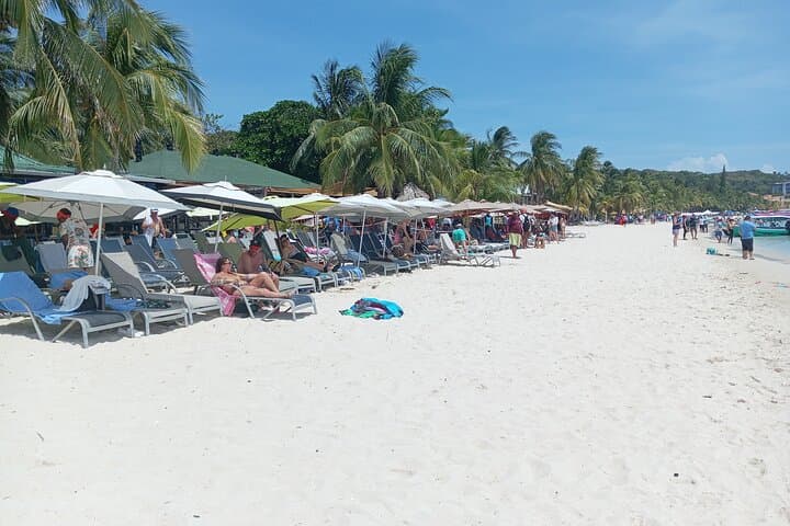 Roatán Monkey & Sloth Sanctuary Tour with Chocolate, Rum Tasting and West Bay Beach photo 4