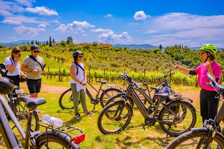 Chianti E-Bike Tour from Florence: Wine, Lunch & Vineyards