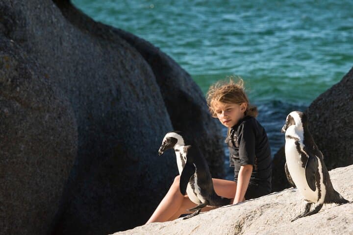 Cape Point & Penguins Private Tour — Full-Day Cape of Good Hope Experience photo 2