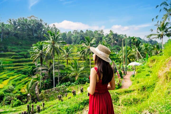 Ubud Jungle Swing, Monkey Forest, Tegalalang Rice Terraces & Tirta Empul Temple Tour photo 2