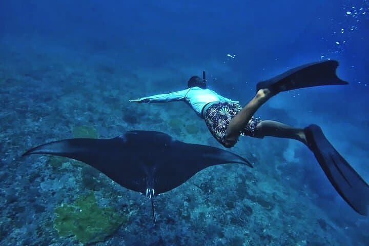 Manta Snorkel Half-Day from Nusa Penida: Manta Bay, Crystal Bay & Gamat photo 4