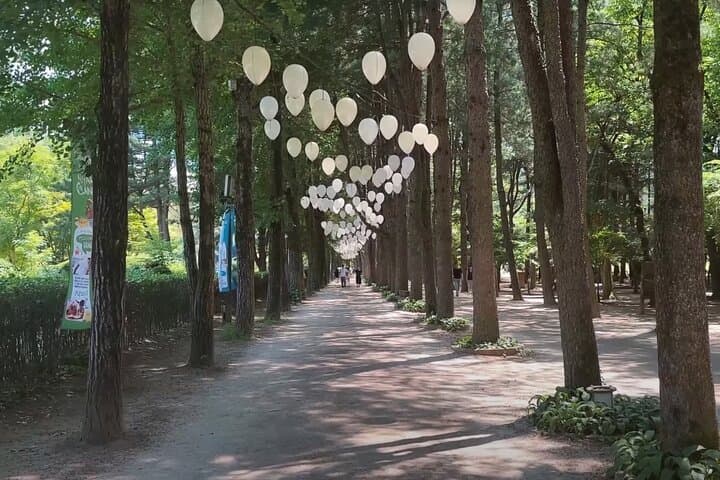 Seoul to Nami Island, Petite France & Garden of Morning Calm — Private 9-Hour Day Tour photo 6