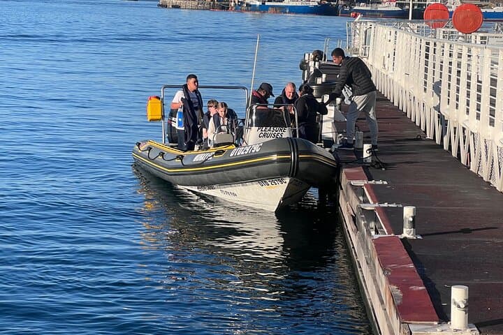 Cape Town Private Dolphin Watching Cruise from V&A Waterfront photo 6