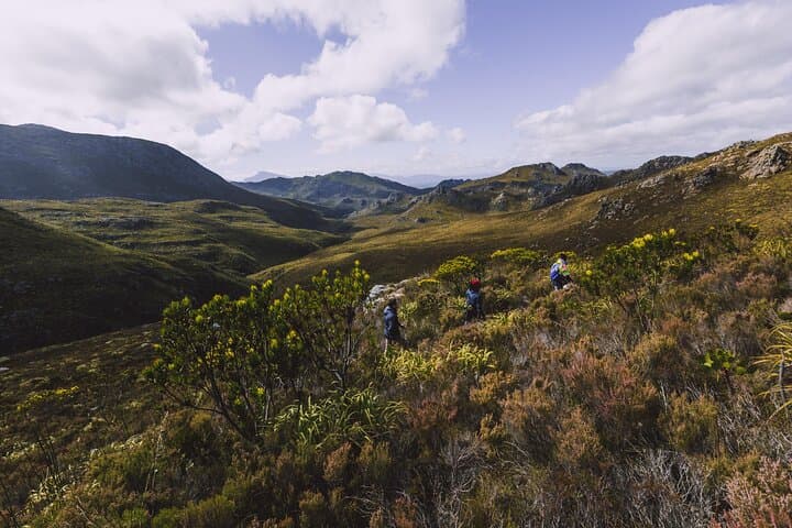Cape Canopy Tour: Half-Day Zipline & 4x4 Adventure from Cape Town photo 3