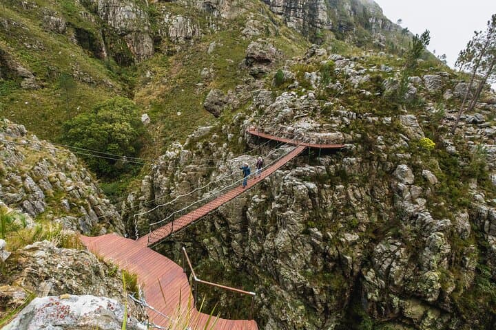 Cape Canopy Tour: Half-Day Zipline & 4x4 Adventure from Cape Town photo 5