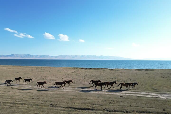 5-Day Song-Kol, Kel-Suu & Naryn Yurt Adventure from Bishkek photo 4