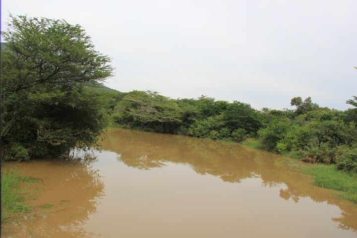 Safari to Surf at iSimangaliso: Half-Day Cape Vidal Adventure photo 2