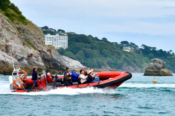 Torquay Coastal RIB Seafari — Torbay RIB Cruise for Dolphins, Seals & Sea Birds photo 6
