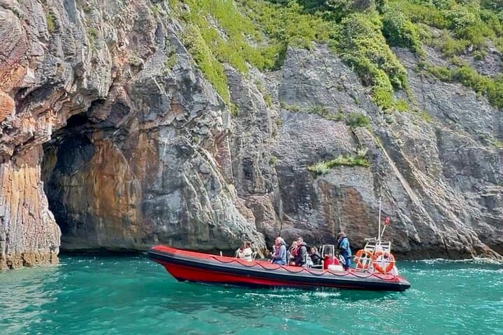 Torquay Coastal RIB Seafari — Torbay RIB Cruise for Dolphins, Seals & Sea Birds photo 2