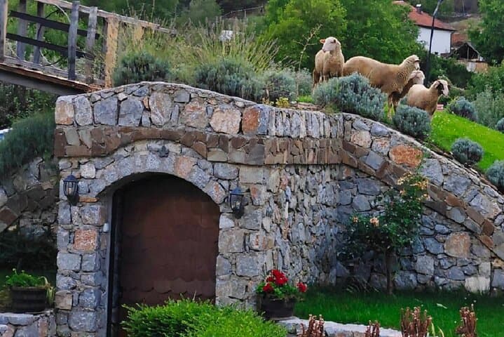 Rakija in Ohrid Valley: Distillery Balakija Guided Tour & Tasting photo 4