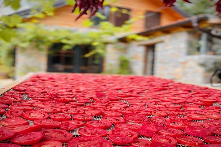 Rakija in Ohrid Valley: Distillery Balakija Guided Tour & Tasting photo 6