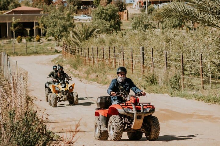 ATV Off‑Road Tour and Winery Visit in Valle de Guadalupe photo 2
