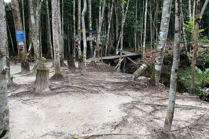 Private Day Transfer to Presidente Figueiredo: Waterfalls, Caves & Crystal Lagoons from Manaus photo 3