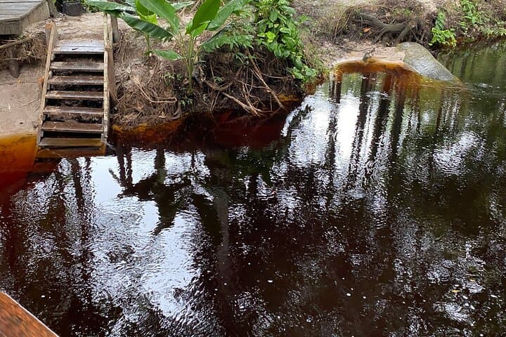 Private Day Transfer to Presidente Figueiredo: Waterfalls, Caves & Crystal Lagoons from Manaus photo 4