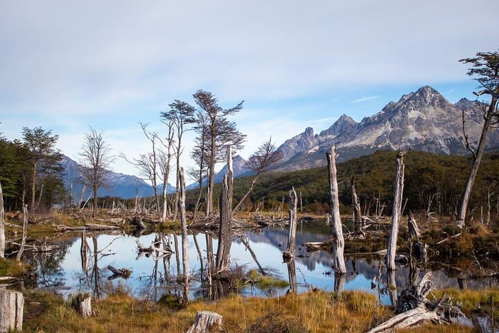 Hike Laguna Esmeralda: Trek the Fuegian Valleys from Ushuaia photo 4