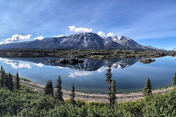 Private White Pass & Yukon Suspension Bridge Tour from Skagway photo 3